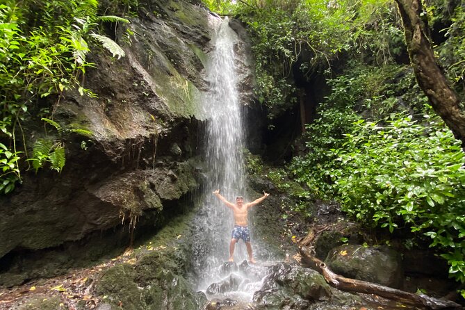 Half-Day Waterfall Tour - Hike, Scenic, Food and Photo - Off-Trail Waterfalls Near Honolulu: The Point of the Day