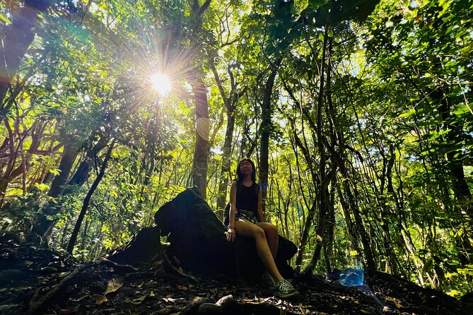 Half-Day Waterfall Tour - Hike, Scenic, Food and Photo - The 8:00 AM Flow: Pickup, Rainforest Hike, and Two Waterfall Finds
