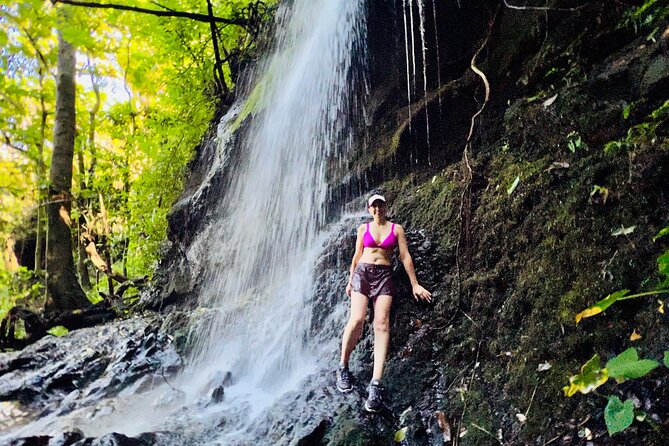 Half-Day Waterfall Tour - Hike, Scenic, Food and Photo - Should You Book This Waterfall-and-Lookout Tour?