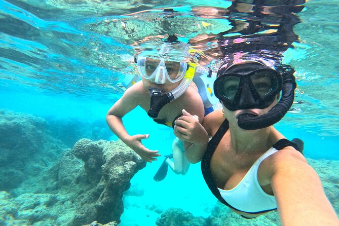 Hanauma Bay Guided Snorkel Tour (with guaranteed entrance time) - The snorkel flow: what “about 1 hour” looks like in real life