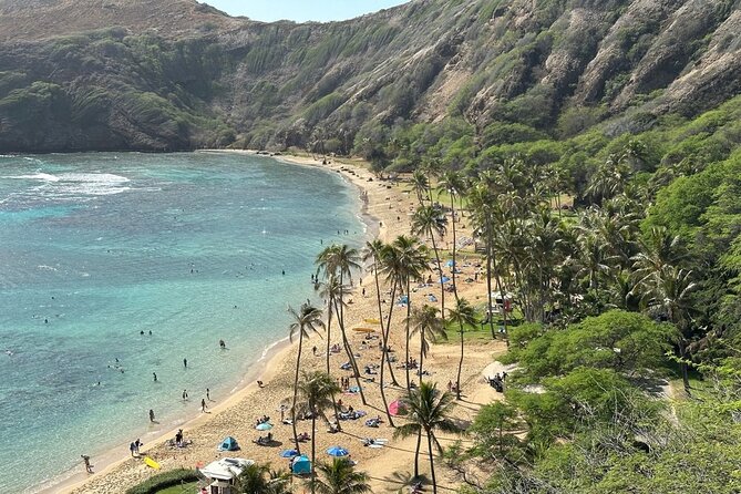 Hanauma Bay Snorkel Lesson - Small group attention: the difference between learning and guessing