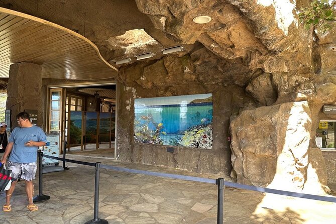 Hanauma Bay Snorkel Lesson - Timing and weather: the day that snorkeling depends on