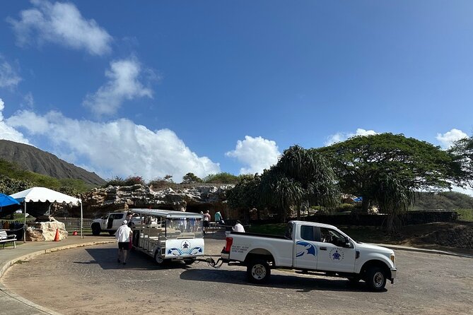 Hanauma Bay Snorkel Lesson - Who should book this Hanauma Bay snorkel lesson