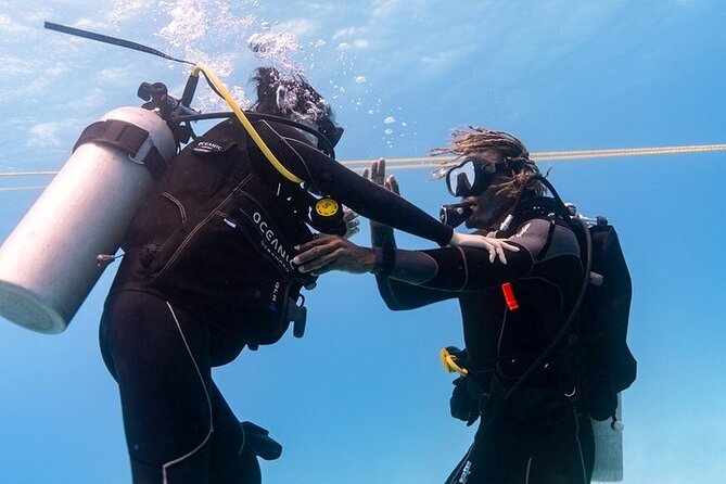 Hawaii DISCOVER Beginner + Certified 2 Tank Shallow Scuba Diving - Your Coastal Ride: Waikiki to Ala Moana, Kewalo Basin, and Diamond Head