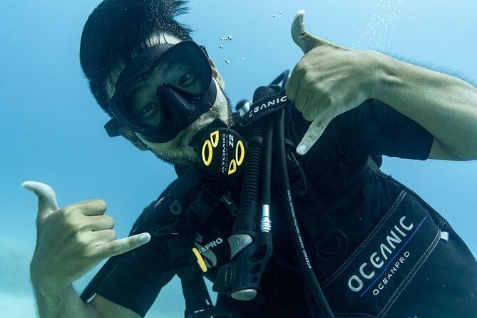 Hawaii DISCOVER Beginner + Certified 2 Tank Shallow Scuba Diving - Gear, Safety Checks, and the PADI Medical Screen