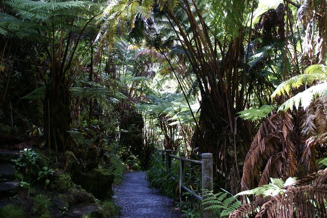 Hawaii Volcanoes National Park Experience From the Big Island - Punaluʻu Bake Shop Lunch and Black Sand Beach Turtles