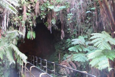 Hawaii Volcanoes National Park Experience From the Big Island - Greenwell Farms and Manuka: Kona Coffee Plus a Quiet 2-Mile Nature Walk
