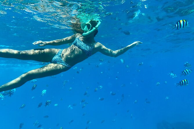 Hawaiian Culture & Snorkel Adventure with Photo/Videos - 6 Things That Make This Oahu Snorkel Tour Worth Your Time