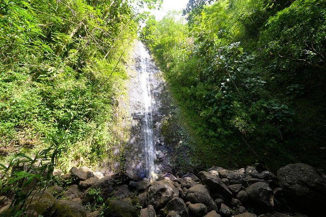 Hawaiian Waterfall Hike - Key points I’d bank on before you go