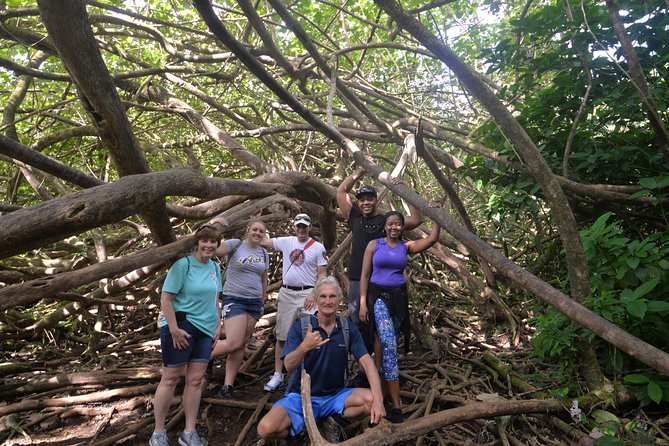 Hawaiian Waterfall Hike - Manoa Rainforest and the 150-Foot Waterfall Promise
