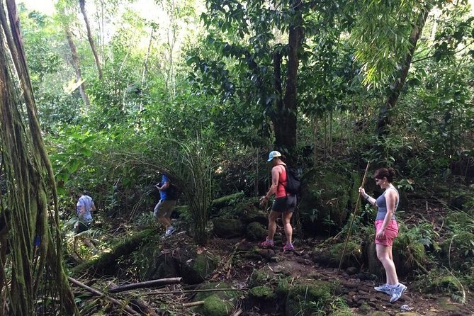 Hawaiian Waterfall Hike - The Hike Itself: Short Distance, Real Trail Conditions