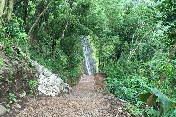 Hawaiian Waterfall Hike - Stop 1 at Bike Hawaii Tours: Your Morning Setup