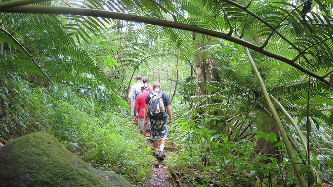 Hawaiian Waterfall Hike - The Waterfall Moment: Why It Might Look Different Day to Day
