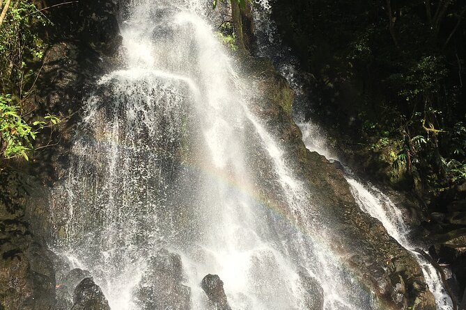 Hidden Hawaii Tours - Price and value: what you pay $150 for (and what you don’t)