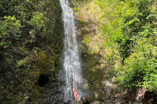 Hike to a Tropical Waterfall - pick up included - What this Honolulu waterfall hike really feels like