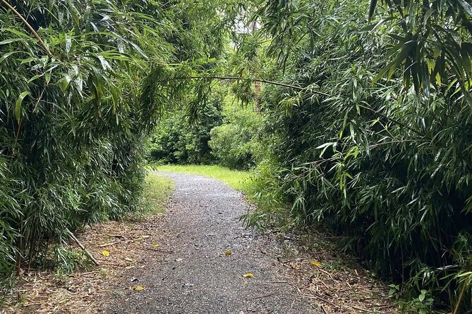 Hike to a Tropical Waterfall - pick up included - The trail conditions: muddy is not a rumor