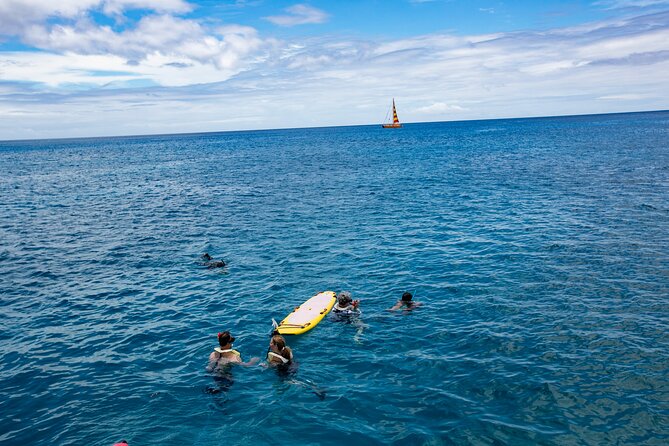 Hilton Hawaiian Village Turtle Snorkel with Optional Lunch - Who should book this turtle snorkel, and who might not love it