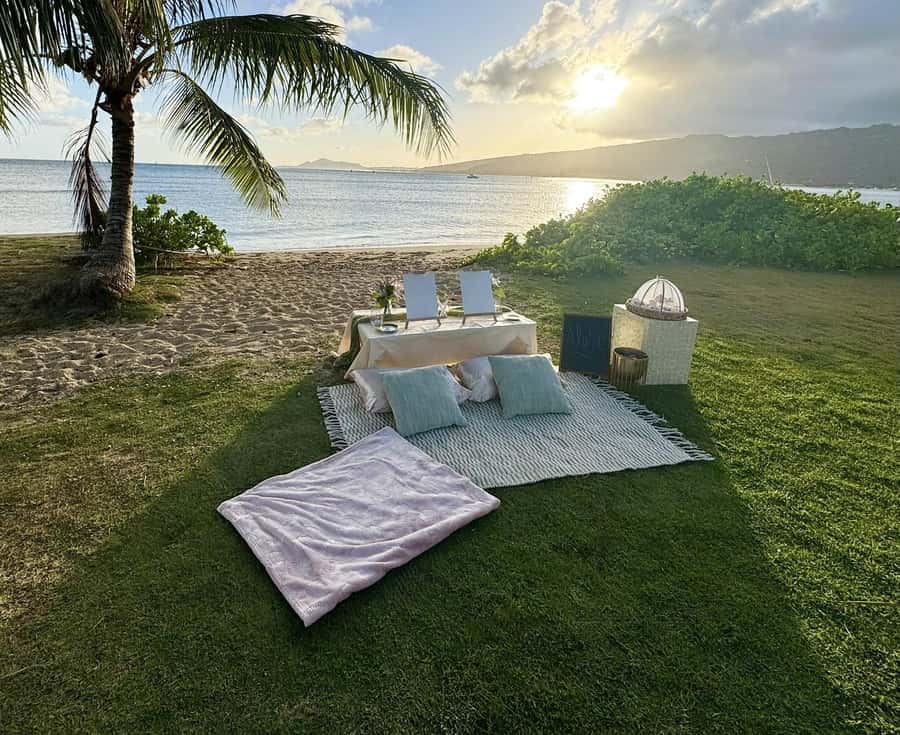 Honolulu: Beachside Luxury Picnic & Paint - Key Things to Know Before You Go