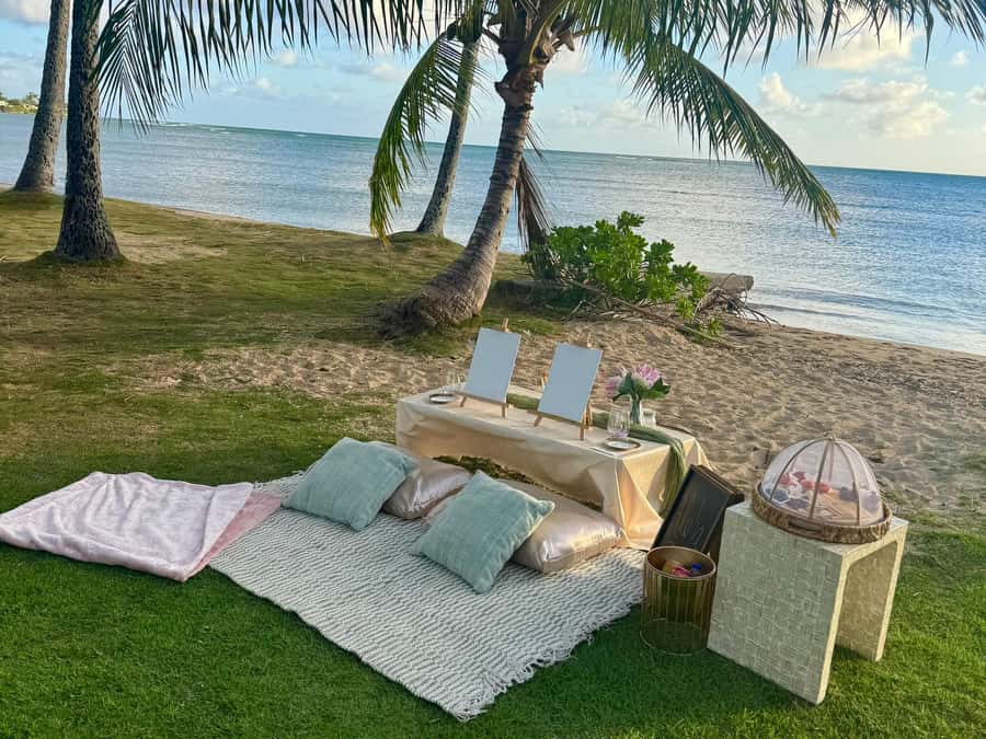 Honolulu: Beachside Luxury Picnic & Paint - What You’re Really Buying: Calm, Craft, and a Real Meal