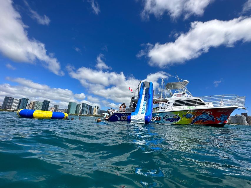 Honolulu: Deluxe Waikiki Snorkel and Wildlife Cruise - Key highlights worth planning for