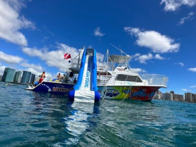 Honolulu: Deluxe Waikiki Snorkel and Wildlife Cruise - Waikiki Beach Time: Snorkeling, Slide, Trampoline, and Real Options for Different Comfort Levels