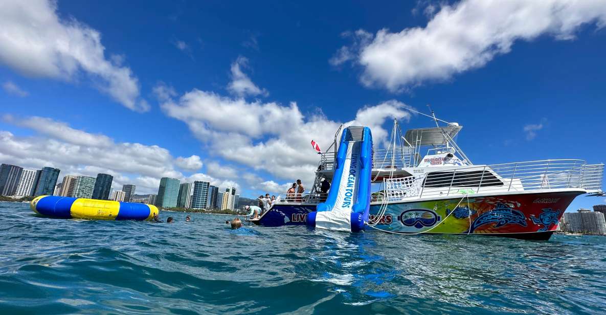 Honolulu: Deluxe Waikiki Snorkel and Wildlife Cruise - Onboard Comfort: Drinks, Instructor Help, and the Small Things That Matter