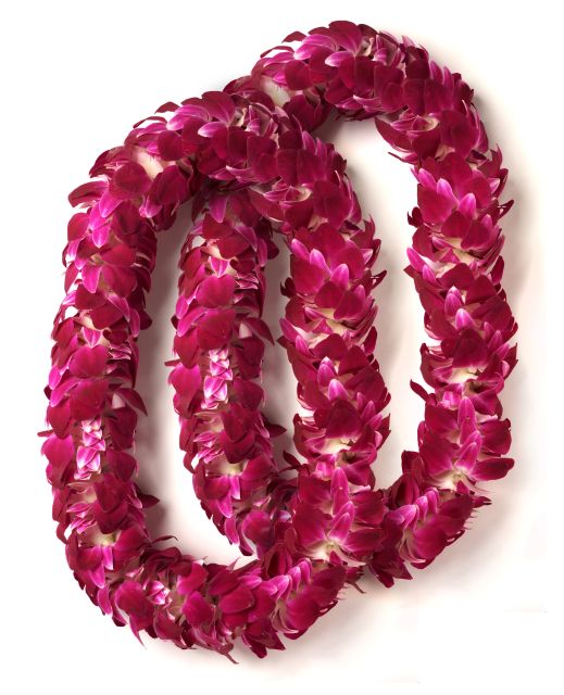 Honolulu Honeymoon Airport Lei Greeting - Who Should Book This Lei Greeting