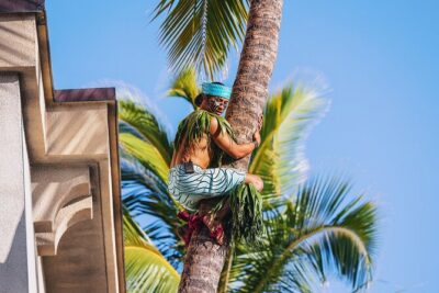 Honolulu: Ka Moana Lūʻau at Aloha Tower – Oceanfront Luau Show - The main show (6:30–7:45): wayfinding, storytelling, and the fire finale