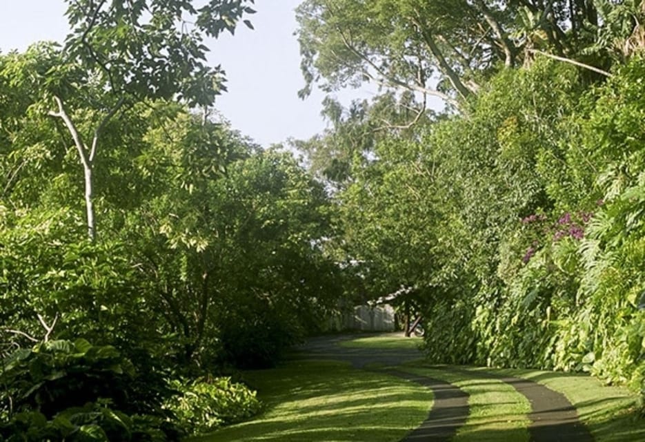 Honolulu: Liljestrand House Architectural Tour - The role of the Liljestrand Foundation in preservation