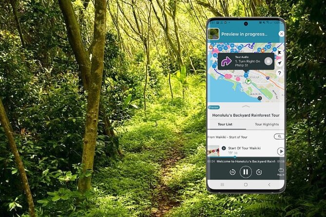 Honolulu Rainforest Self-Guided Audio Tour - The route: from Manoa rainforest to Chinatown and back to Waikiki