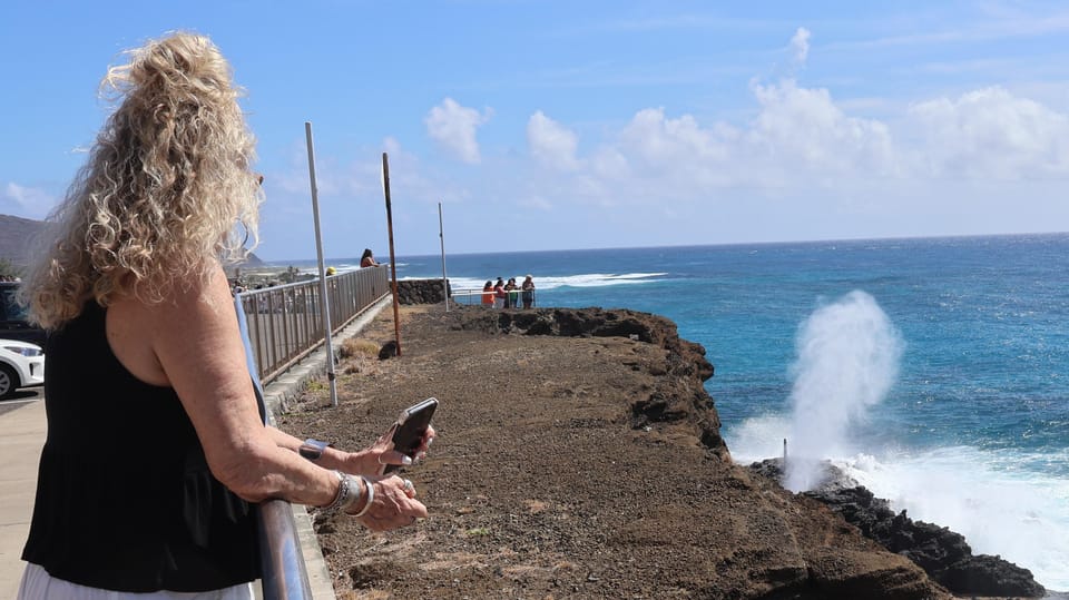 Honolulu: Stunning Views of Oahu! Half-day Scenic Tour - Price and value: is $75 a good deal for this kind of tour?