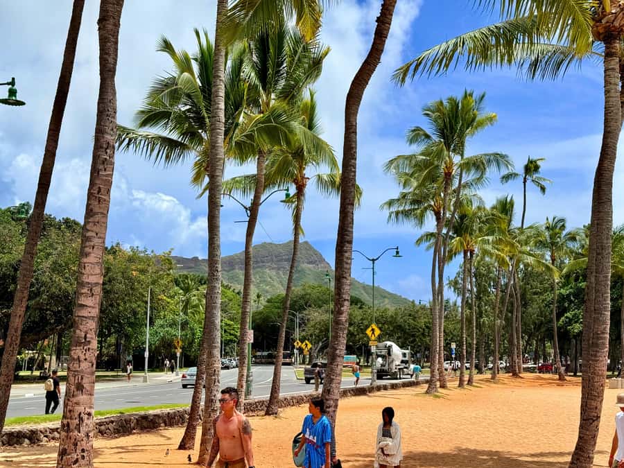 Honolulu: Waikiki Food Tour with Local Guide - Who This Tour Fits Best—and Who Should Skip It
