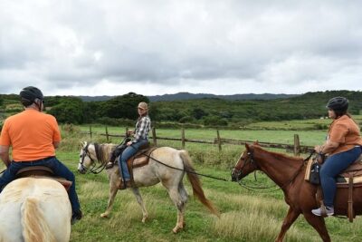 Horseback Ride Like an Authentic Paniolo in Kahuku - Gunstock’s Horses and the Walking-Only Pace (No Trotting, No Cantering)