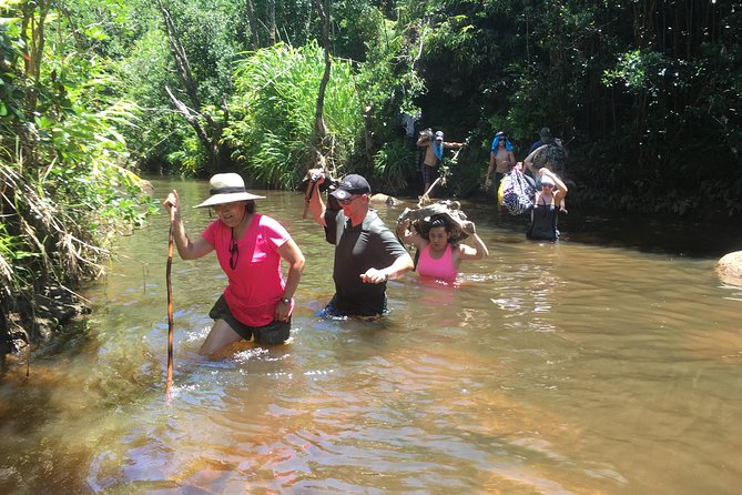 Huakai Iki - Little Hiking Adventure - Windswept ridges, rainforest plants, and stream-hopping reality