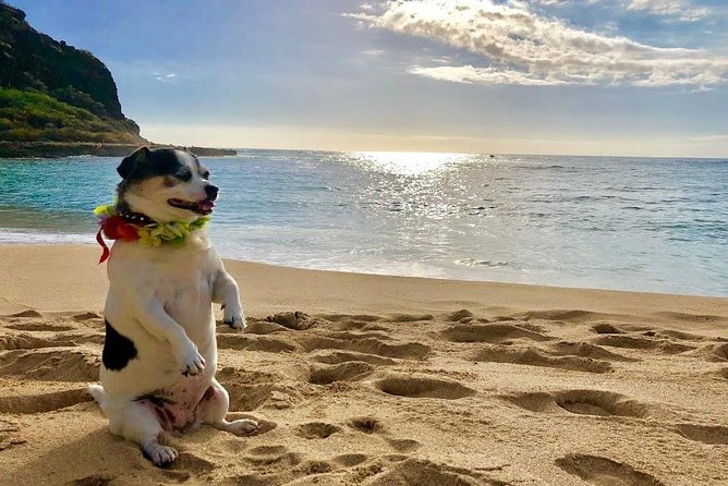 Incredible west side hidden gems -PLEASE CONTACT BEFORE BOOKING - Makua Cave: the remote leeward stop that feels off-the-map