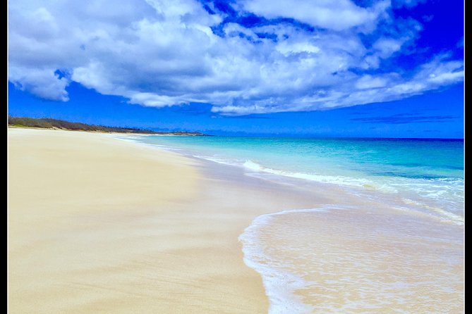 Incredible west side hidden gems -PLEASE CONTACT BEFORE BOOKING - Pray for Sex Beach: white sand, fewer crowds, and a real beach pause