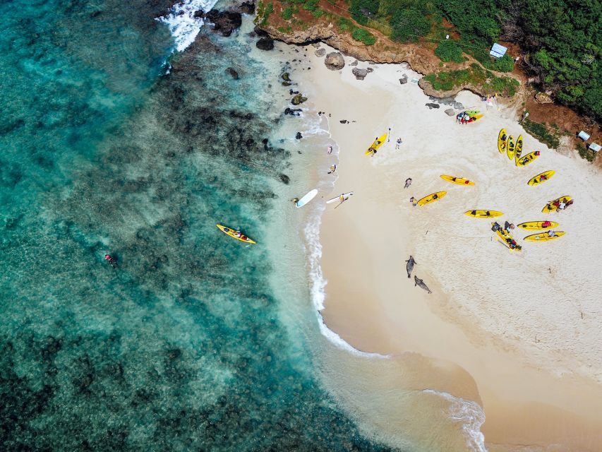 Kailua: Mokulua Islands Guided Kayak and Snorkeling Tour - Price and Value: Is $269 Worth It for Mokulua Kayaking and Snorkeling?