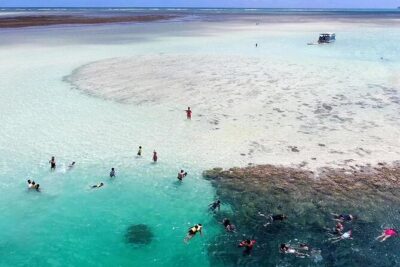 Kaneohe Sandbar Snorkeling Tour - 1st Tour - The Sail Out: Relax, Watch, and Let the Crew Set the Pace