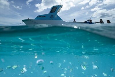 Kayak, Snorkel, and Surf with Turtles in Honolulu - Kayak or stand-up paddleboard: getting to the reef and turtles fast