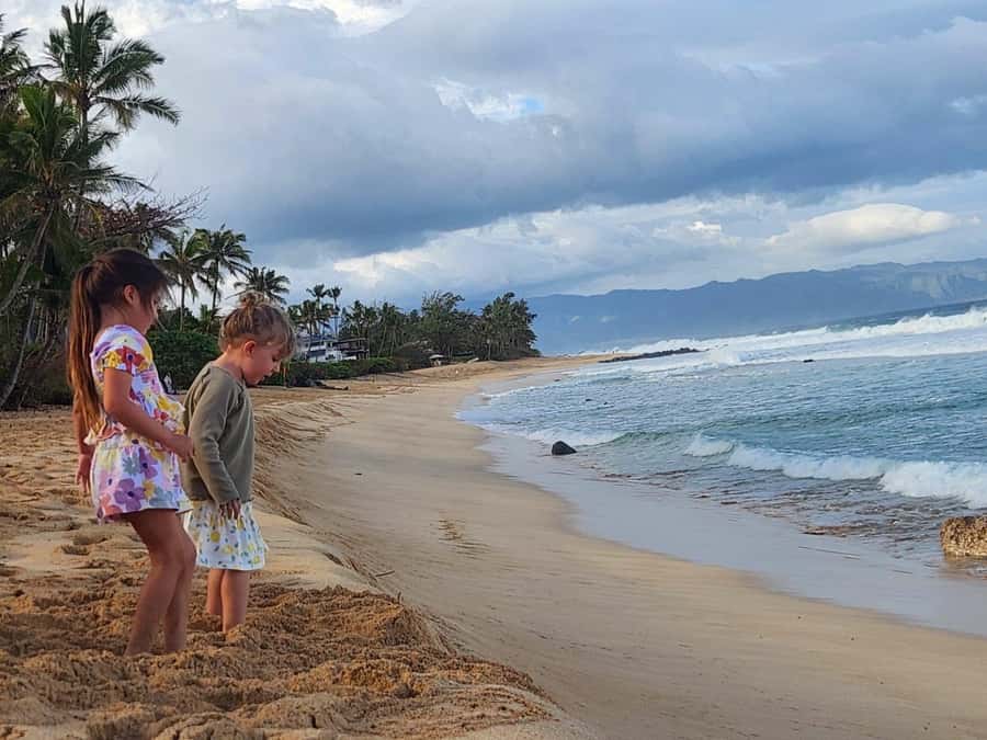 Kevo's Beach Bus - Key highlights you’ll care about