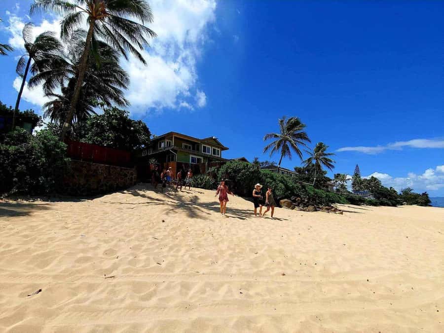 Kevo's Beach Bus - Pipeline Beach: surf energy in winter, swimable water in summer