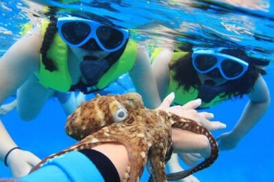 Ko Olina Catamaran Sail and Snorkel with Lunch - Boarding the 53-foot catamaran: space, shade, and a crew that works