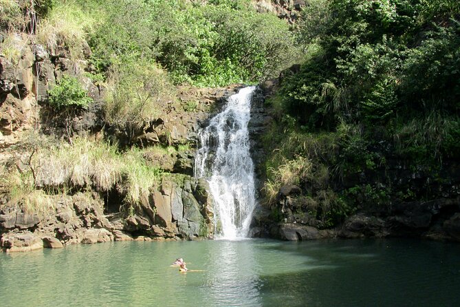 Ko Olina to North Shore Experience -Waimea Falls, Beaches & more - Key Highlights You’ll Actually Care About