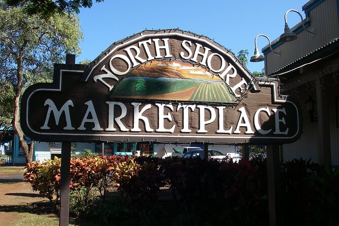 Ko Olina to North Shore Experience -Waimea Falls, Beaches & more - Guide Quality and Small Details That Make the Day Easier