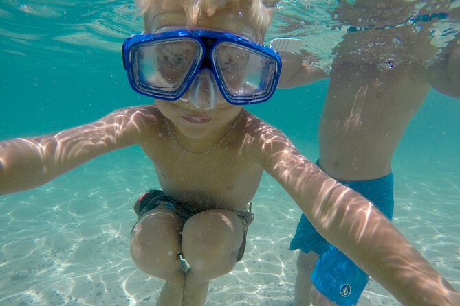 Ko Olina to North Shore Experience -Waimea Falls, Beaches & more - Who This Tour Suits Best (and Who Should Consider Another Option)