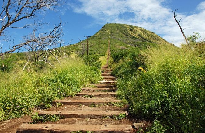 Koko Head E-Bike Ride and Hike Tour - Quick hits: what makes this tour worth your time