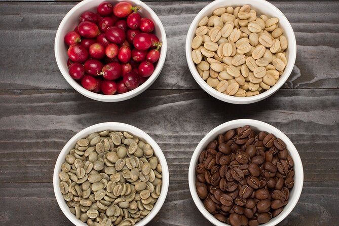 Kona Coffee Tasting: A Farm to Cup Experience - Inside The Coffee LAB: what the experience actually feels like