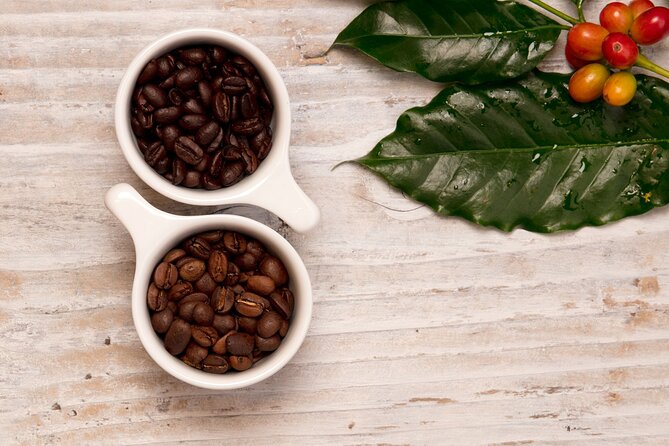 Kona Coffee Tasting: A Farm to Cup Experience - Farm-to-cup learning: what changes flavor in Kona