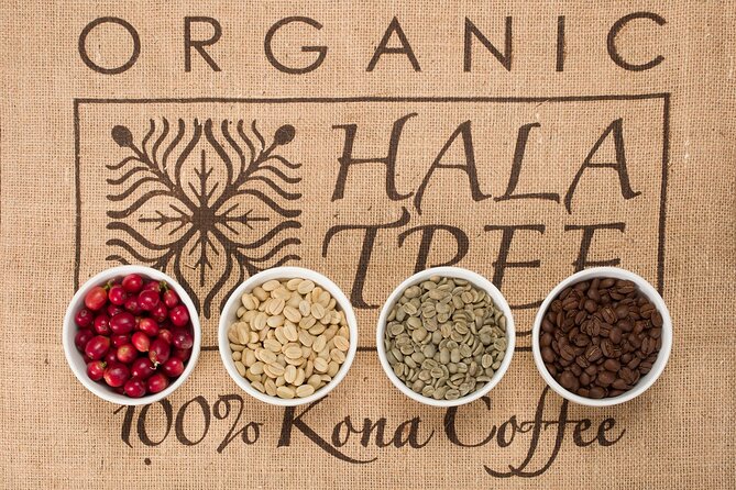 Kona Coffee Tasting: A Farm to Cup Experience - Who should book this tasting (and who might skip it)