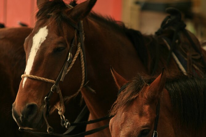 Kualoa Ranch - Horseback Walking Tour - Kanehoalani Mountains and ranch trails: views that keep changing